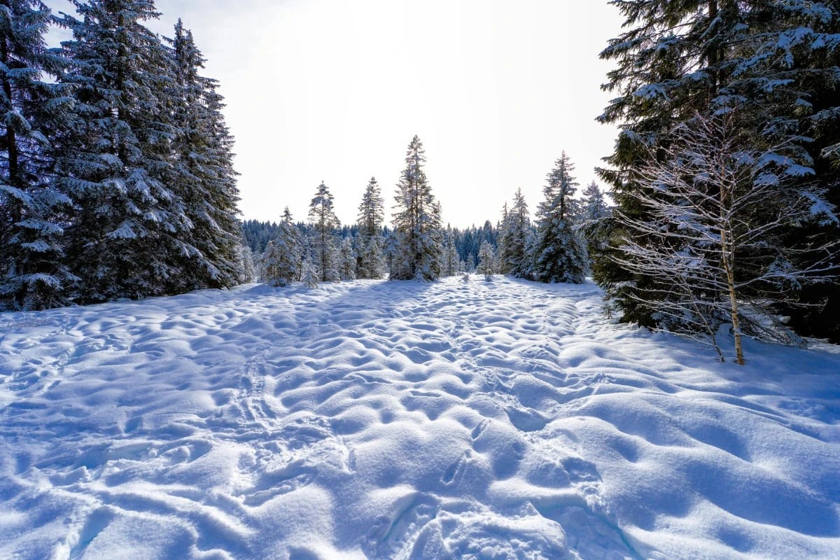 Pas dans la neige dans le Jura