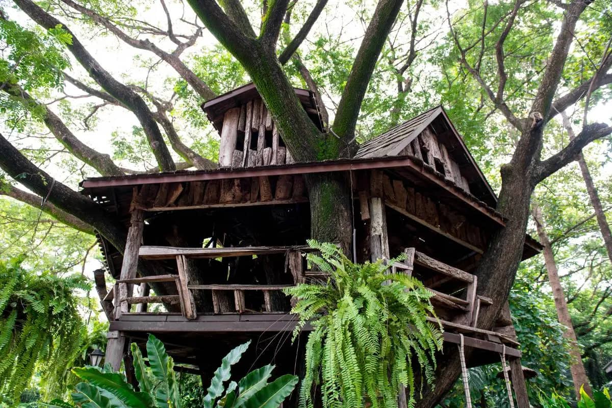 Une cabane dans les arbres