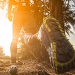 Top 10 des Meilleurs Trails des Vosges : Découvrez les Incontournables Randonnées Montagnardes Trail forêt des Vosges