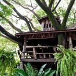 Une aventure inoubliable dans une cabane dans les arbres en Haute-Savoie Une cabane dans les arbres