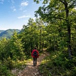 S'évader en plein cœur du tourisme à Hauteville-Lompnes Femme en veste rouge marchant sur un sentier forestier. Vue sur une rivière sinueuse et des montagnes boisées sous un ciel bleu.