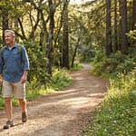 Couple senior souriant marchant main dans la main sur un sentier forestier ensoleillé. Ils portent des vêtements de randonnée.