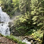 Randonneurs observant une cascade dans une forêt dense.