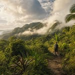 Sentier de randonnée tropical serpentant à travers une forêt luxuriante en Guadeloupe