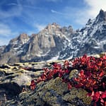 Exploration des plus belles montagnes de France : Découvrez les plus hauts sommets, glaciers et lacs ! belle montagne de France