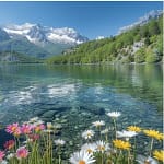 magnifique lacs de haute savoie