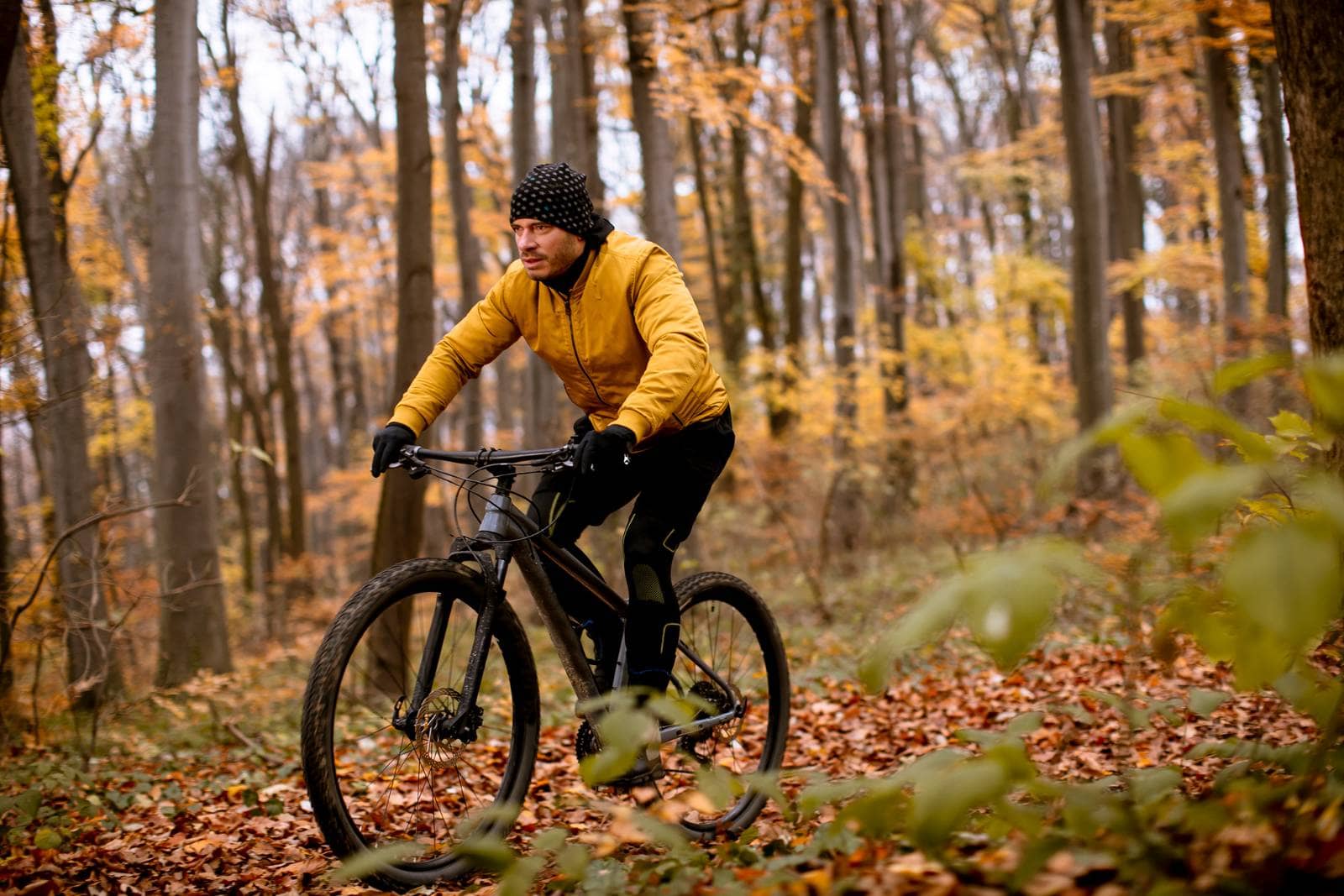 vélo à la montagne en automne