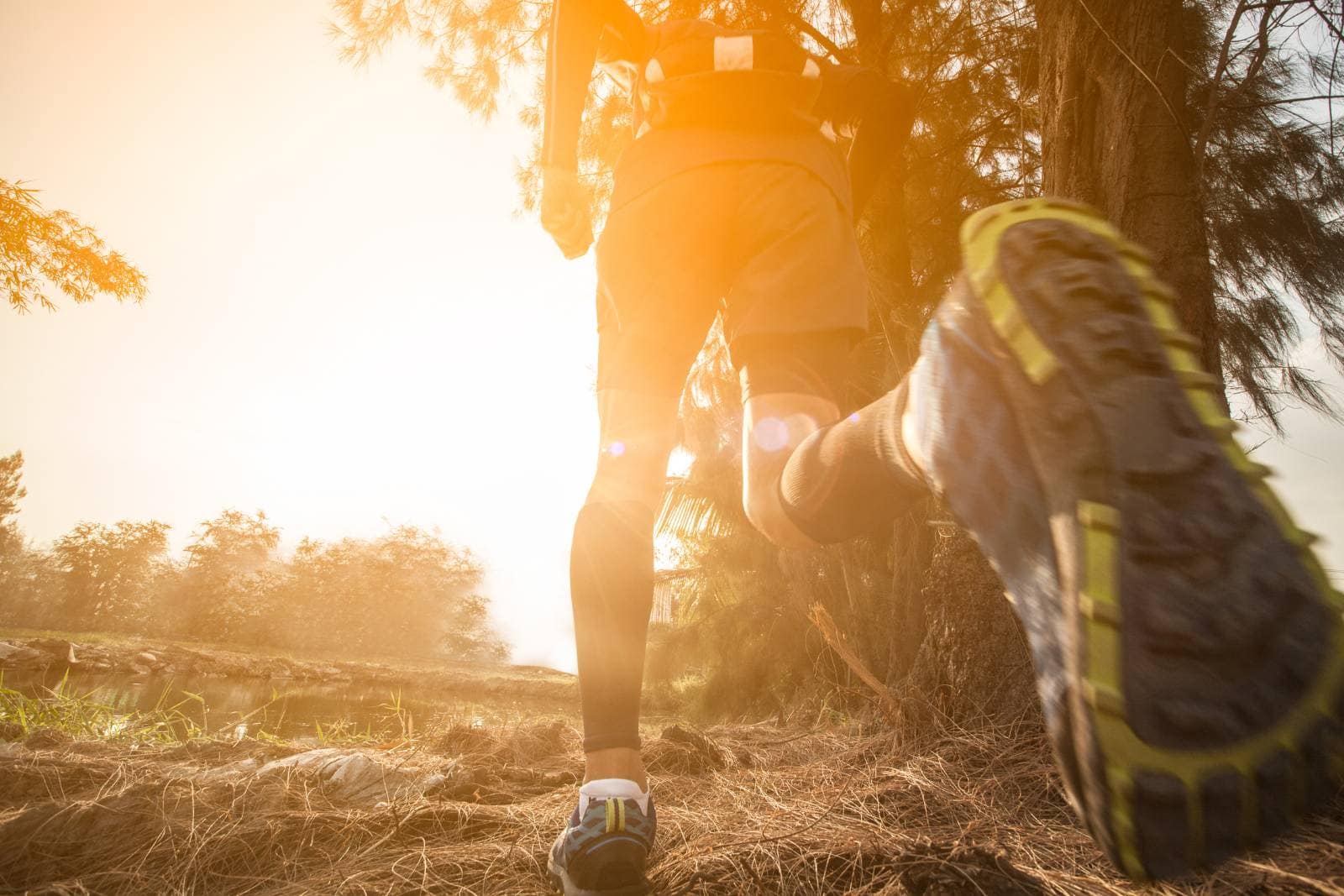 Trail forêt des Vosges