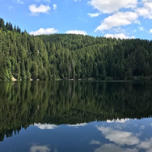 Le lac noir des Vosges