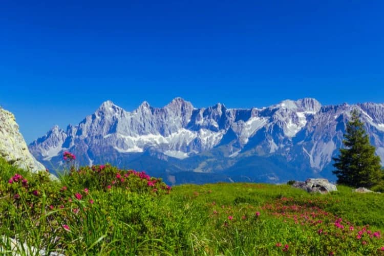 Paysage des montagnes des pyrénées