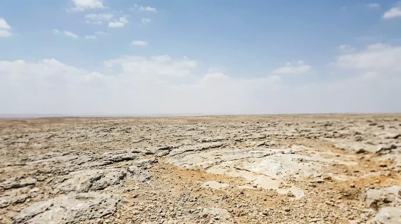 Paysage désertique avec sol rocheux et ciel bleu