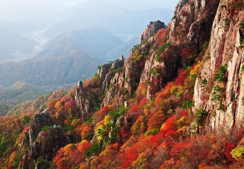 paysage d'automne en montagne